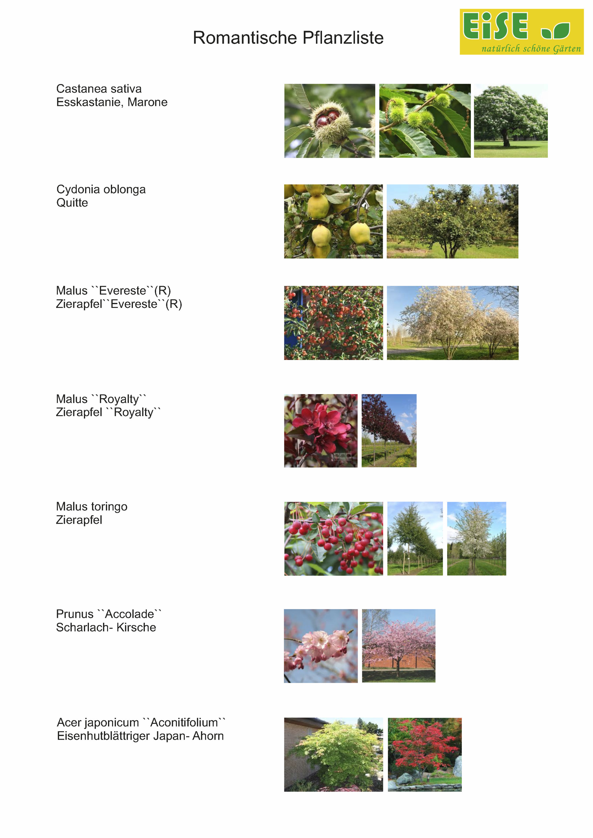 Romantische Pflanzliste