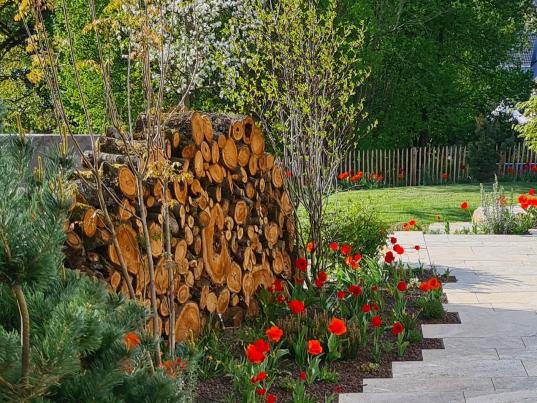 Neues aus Ihrem Traumgarten