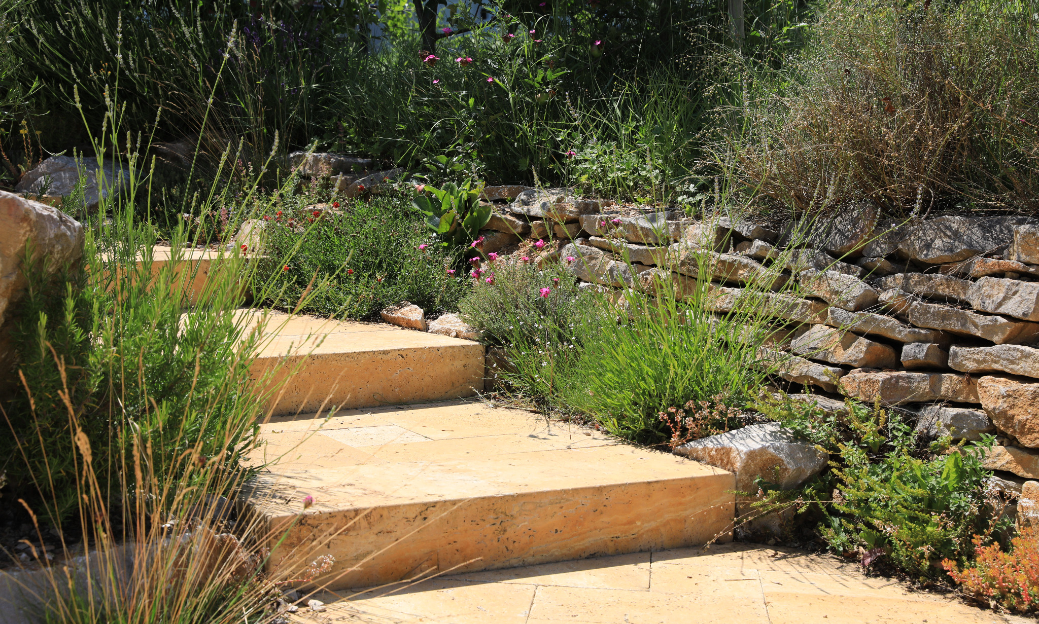 Naturnaher, mediterraner Garten in Leymen